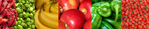 Obst und Gemüse&nbsp;&copy;&nbsp;CC0 Pixabay